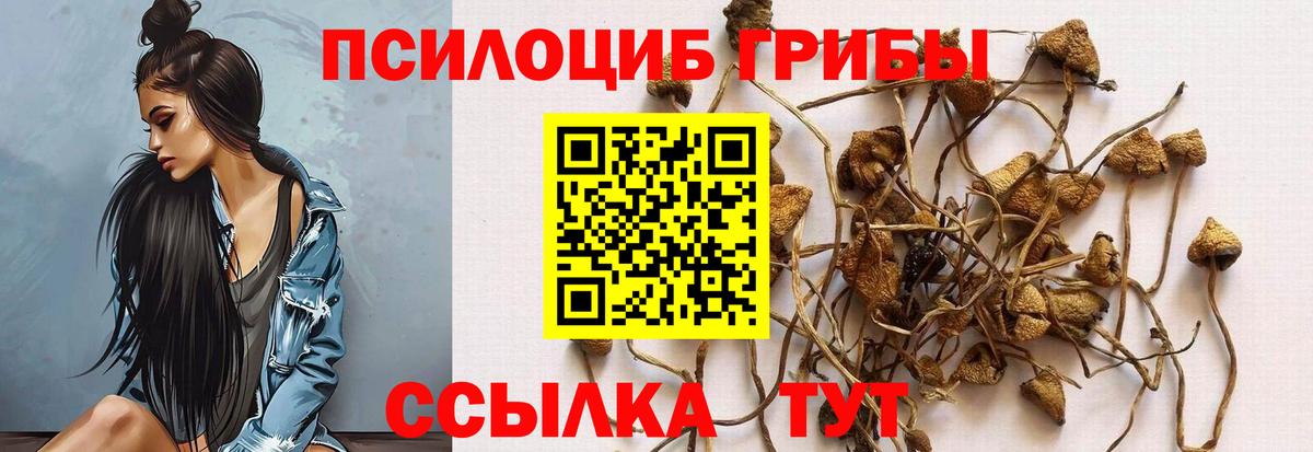 Псилоцибиновые грибы ЛСД Борисоглебск